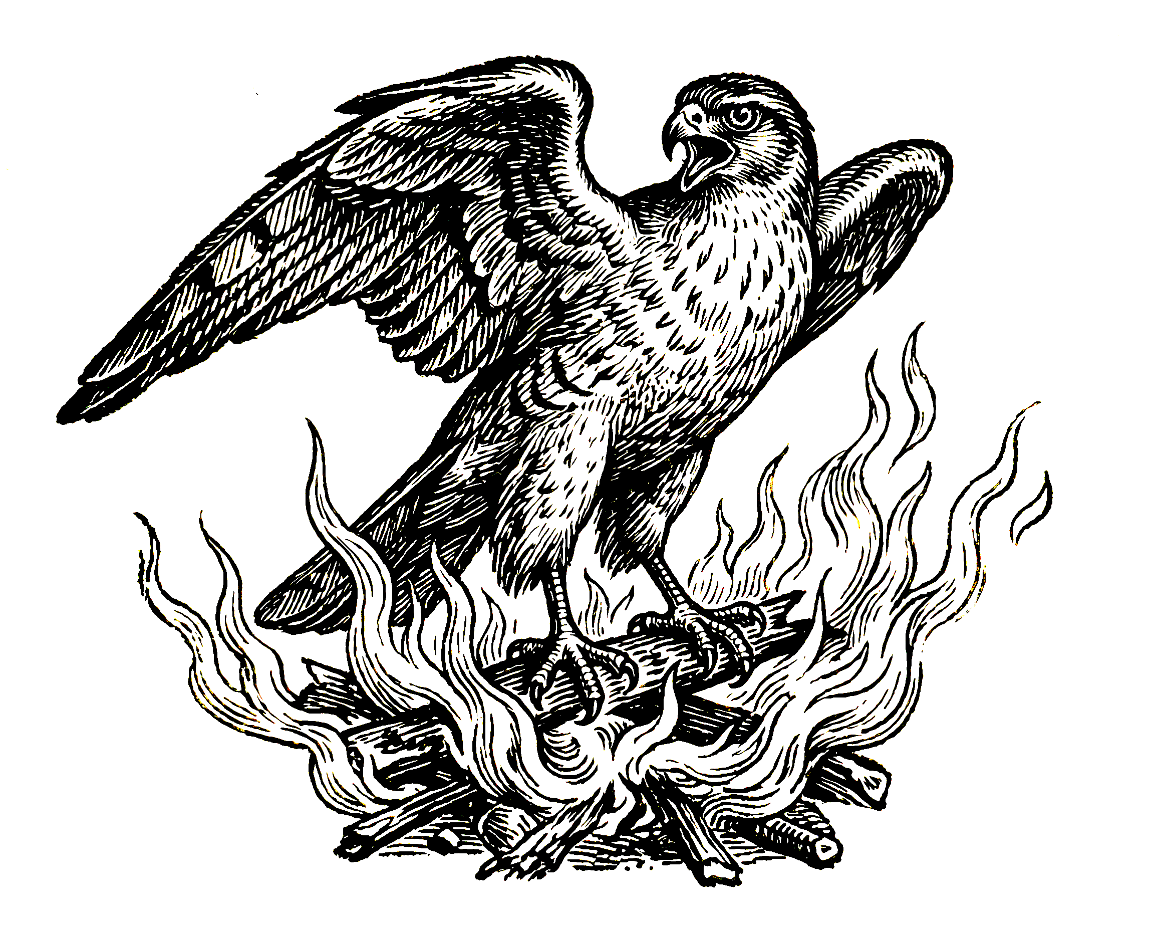 Phoenix Tree and Land Design logo