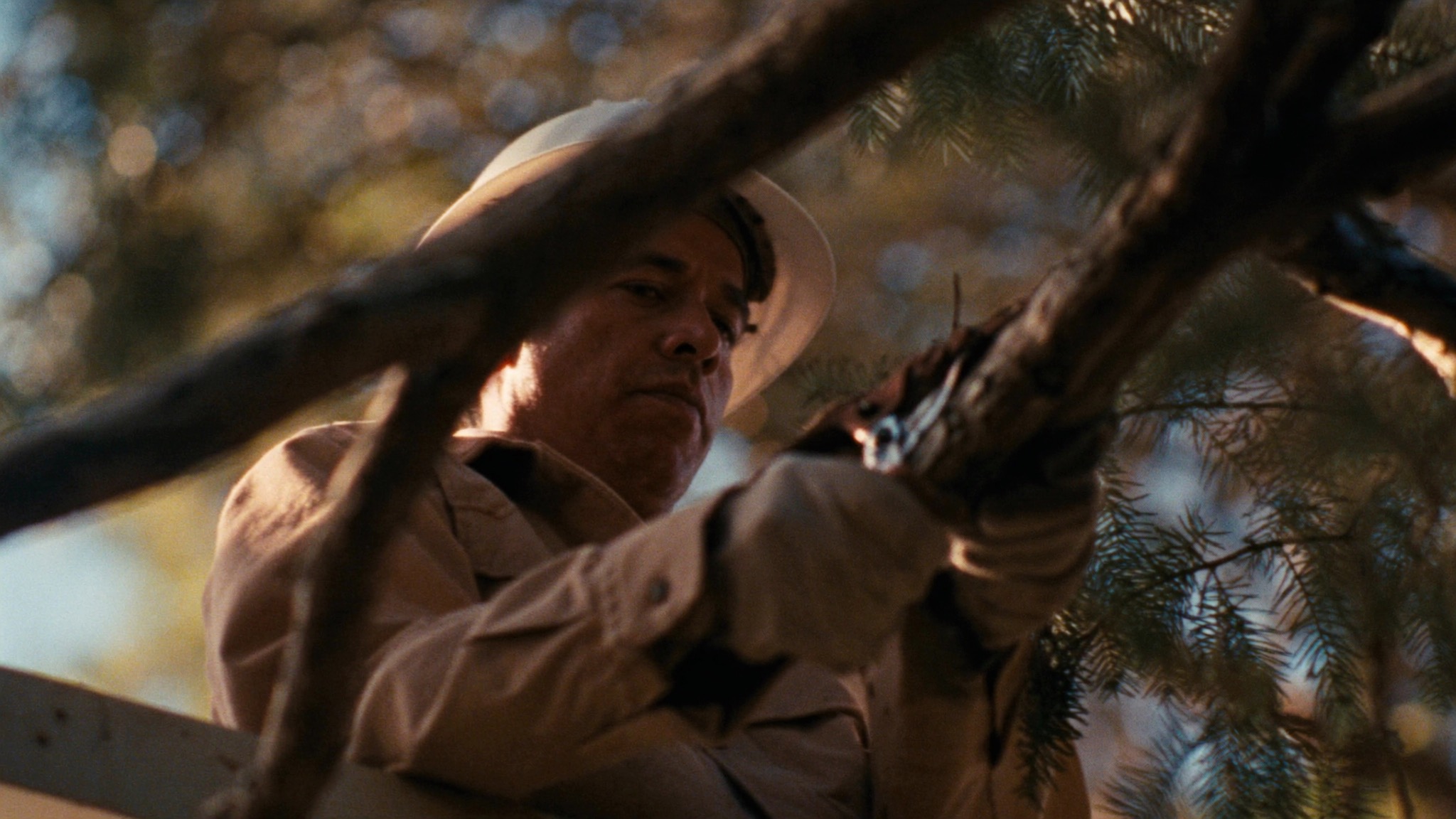 Close-up pruning a branch with a hand saw in the canopy